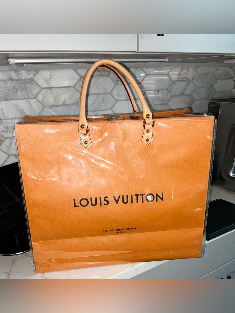 Louis Vuitton Large Paper Shopping Bag W/PVC Protector - Picture 2 of 5